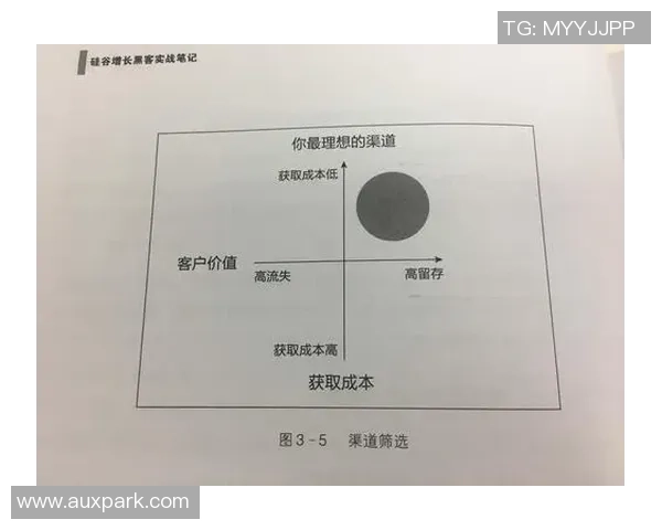 快盈VIII市场推广策略解析：多元获客渠道与增长黑客的创新实践